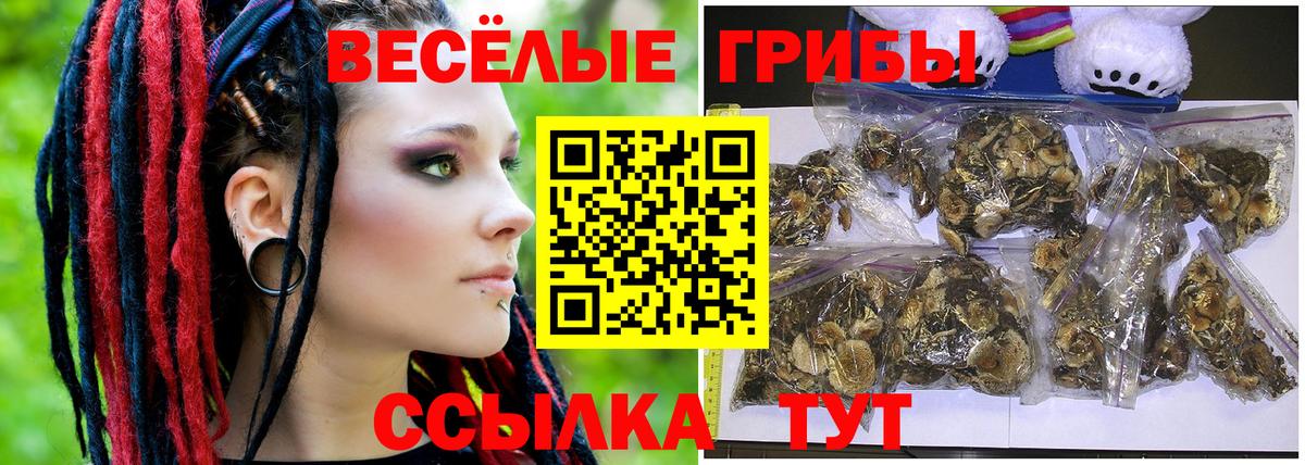 Псилоцибиновые грибы Psilocybe  Вход с VPN  Можайск 